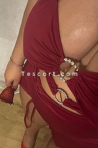 Lina - Escort Girl Albi