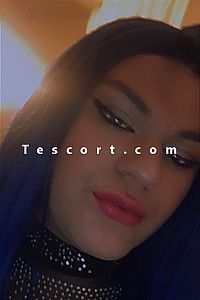 Lola56 - Lorient Trans Escorts