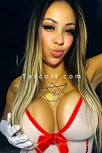 Dominik Bella - Escort Girl Cambrai