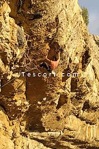 Jason - Bethune Boy Escorts