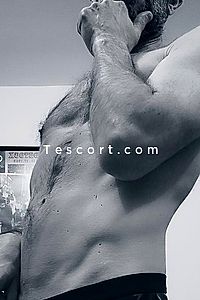 Terces - Bayonne Boy Escorts