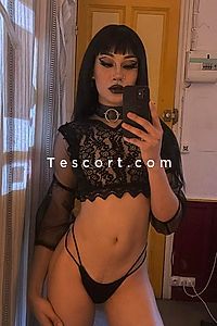 Ranya - Lille Trans Escorts