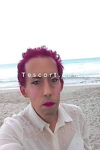 Alessandro pavese - Escort Girl Ajaccio