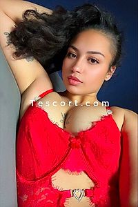 Maell - Montargis Escorts