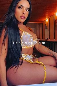 Topvick - Escort Trans Agde