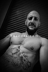Alphaboy - Escort Boy Montargis