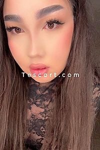Alya TRANS FRANCAISE - Escort Trans Morlaix