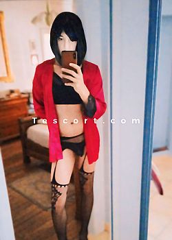 Victoria Scarlet Escort Trans Montpellier