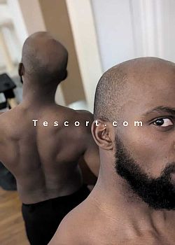 Elegant Parisian Escort Male escorts Paris