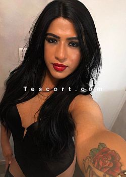 Mellina Sexy Hot Trans Escorts Hyères