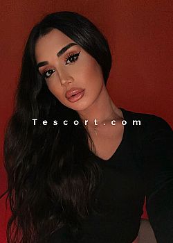 ALLY Trans Escorts Paris