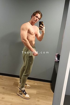 dylan Photo #2
