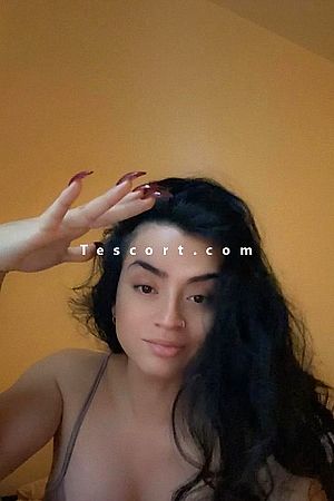 CarlatinX - Trans Escorts Paris