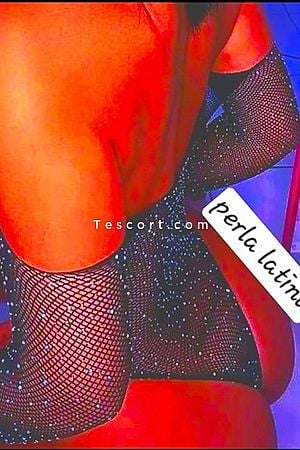 Perla latina ou maitresse perla - Lille Escorts