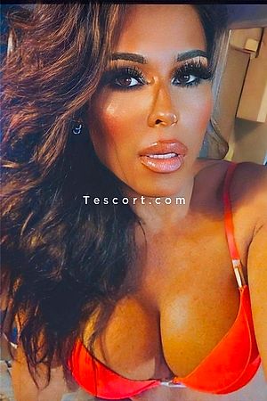 Tayla Lavinsque - Escort Trans Evry