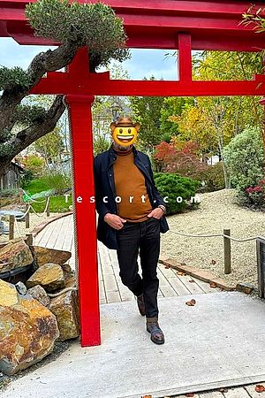 homafem35 - Male escorts Rennes