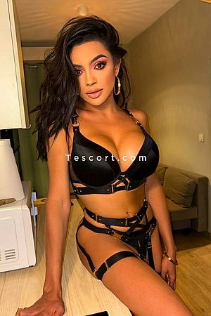 BRENDAFERREIRA - Nice Trans Escorts