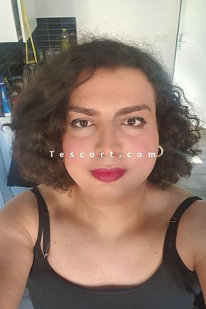 Sophia trav - Escort Trans Lille