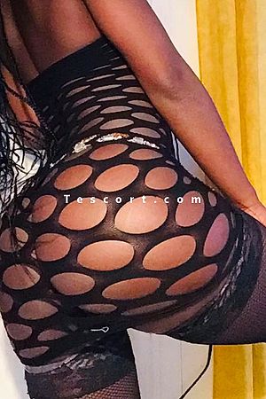 icespiceblack - Escort girl Rennes