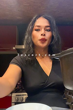 Dana - Trans Escorts Nantes