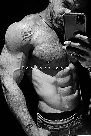ToyBoy - Monaco Boy Escorts
