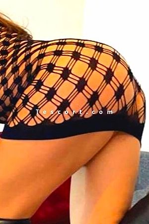 Svet24 Photo #2