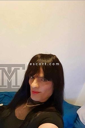 Michelle Tranny - Marseille Trans Escorts