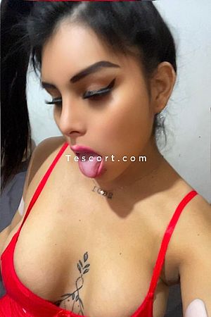 Harlet - Escort Trans Paris