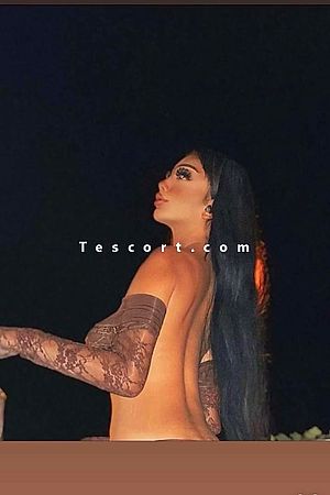 Sabrina Marocaine - Escort Trans Levallois-Perret