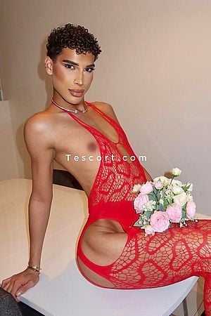 ZAHIA HOT - Paris Trans Escorts
