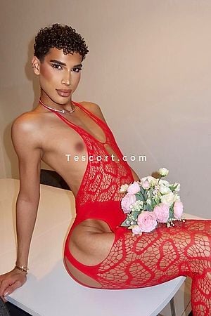 ZAHIA HOT - Escort Trans Paris