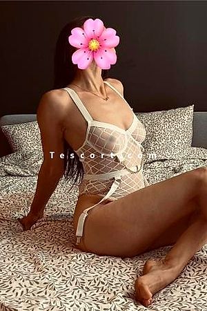 Eva - Clermont-Ferrand Escorts