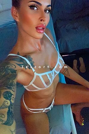 Trans albanaise - Trans Escorts Lyon