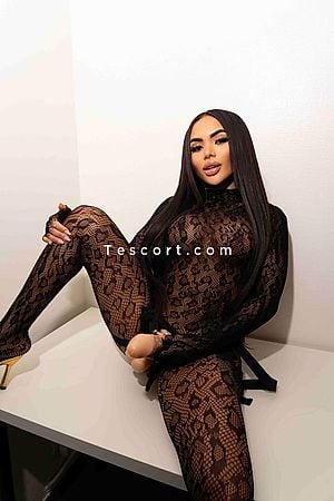 PARTY - Escort Girl Cannes