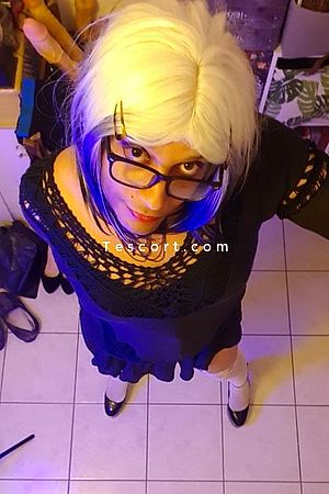 Aphrodia - Toulouse Trans Escorts