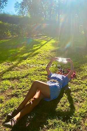 blueverbascum Photo #3