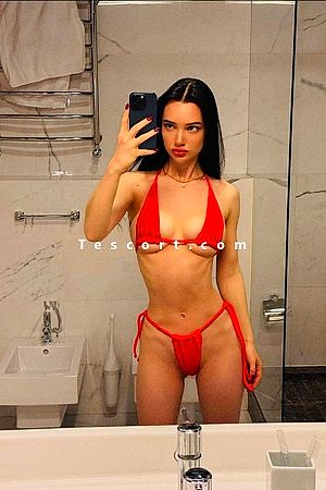 SIANA Photo #2