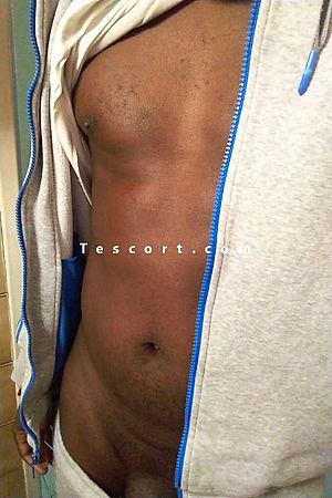 Himeros - Male escorts Montpellier