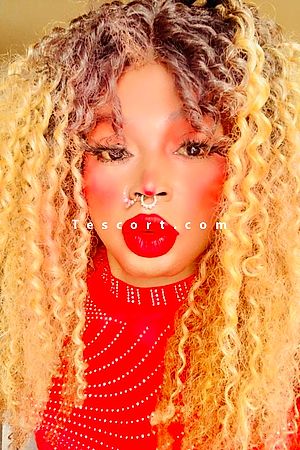 Rfuentes - Escort Trans Palaiseau