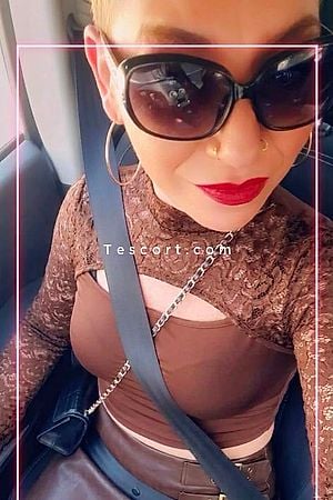 TransFeline - Narbonne Trans Escorts