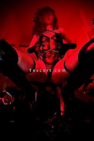 R E I N E  •  D I D O - Escort Girl Marseille