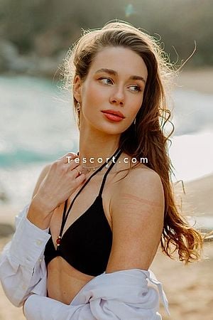 NANDINI