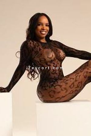 Sophia belle Reel Bresilienne - Toulon Escorts