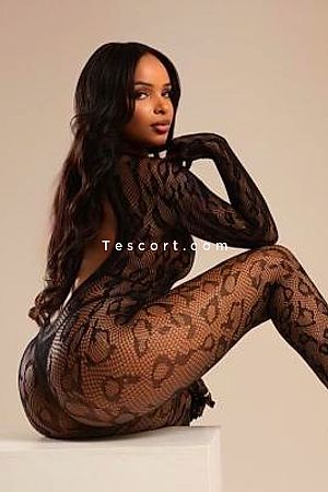 Sophia belle Reel Bresilienne - Escort Girl Paris