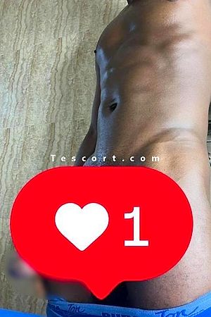Ouwodrago - Escort Boy Tours-ville