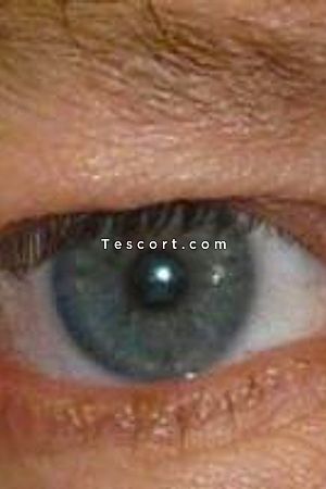 BEARMASTER_POUR_SOUMIS - Lyon Boy Escorts