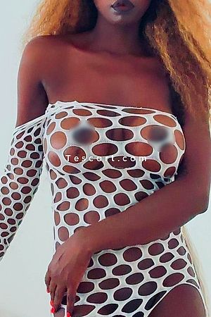 Sandy0 - Escort Girl Cannes