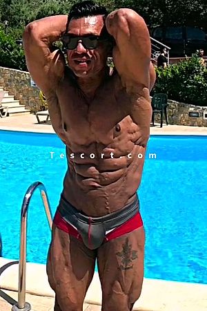 Leon06 - Nice Boy Escorts
