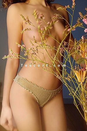 Mayem - Escort Girl Blois