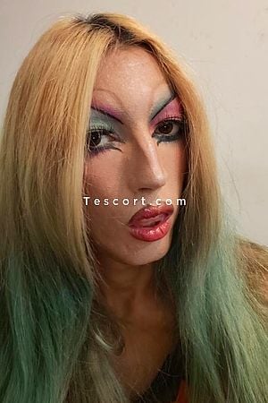 Harley - Le Havre Trans Escorts